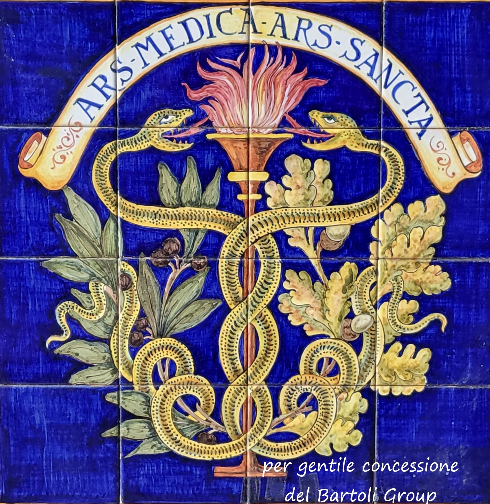 Per gentile concessione del Bartoli Group